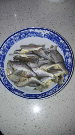 鲜动生活小银鱼:凑单的小黄鱼,虽然小点儿,但