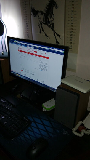 PS健康不闪屏 超薄液晶显示器(带HDMI接口) 黑