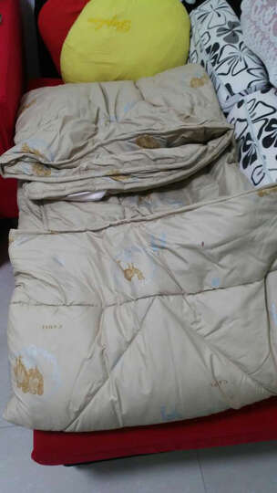 普拉达被子:被子不错的,京东商城送货当天就到