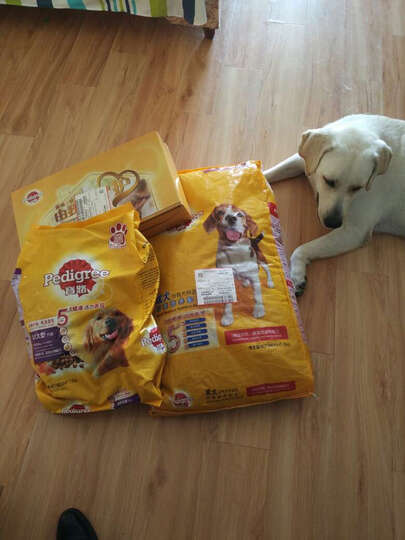 宝路大型犬干:京东自营值得信赖,送货员服务态