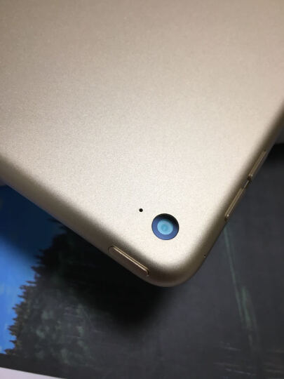 AppleiPad mini4:双十一用小金库支付购买最划