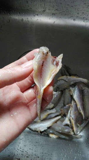 鲜动生活小银鱼:凑单的小黄鱼,虽然小点儿,但