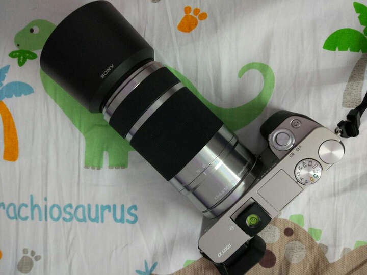 索尼E 55-210mm f\/4.5-6.3 OSS(SEL55210):对