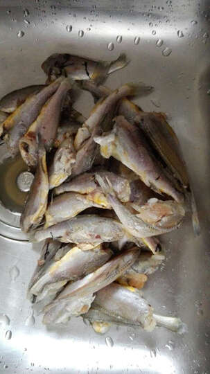 鲜动生活小银鱼:凑单的小黄鱼,虽然小点儿,但