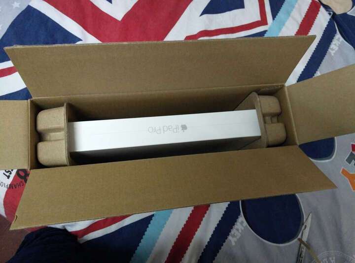 AppleiPad Pro:产品不错,京东自营物流很快,当
