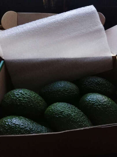 是一次够买,个很大,这是最大的一次,相信京东自