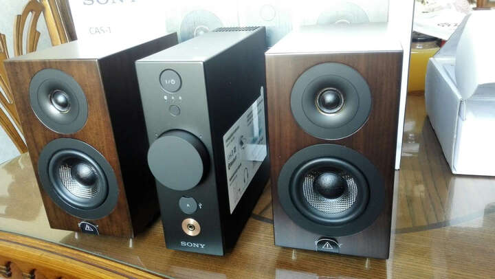 索尼CAS-1怎么样?索尼CAS-1好吗?