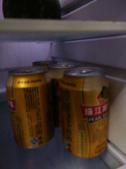 珠江啤酒珠江精品小麦啤酒:金装易拉罐好喝又