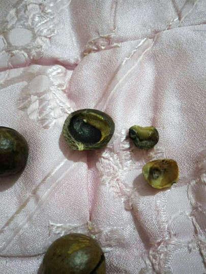 良品铺子夏威夷果:什么玩艺,一包坏了不少,没