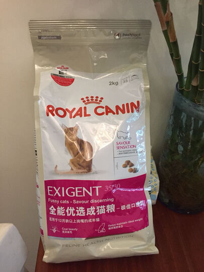 家猫吃什么牌子猫粮好-家猫怎么让它吃猫粮\/什