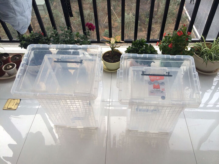 整理箱:刚洗好,放在阳台上晾干,准备装宝宝衣