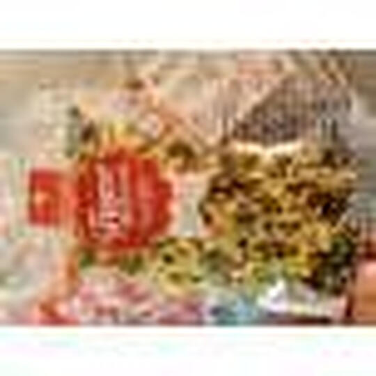 贡苑柠檬片大麦茶山楂干玫瑰花茶杭白菊决明子