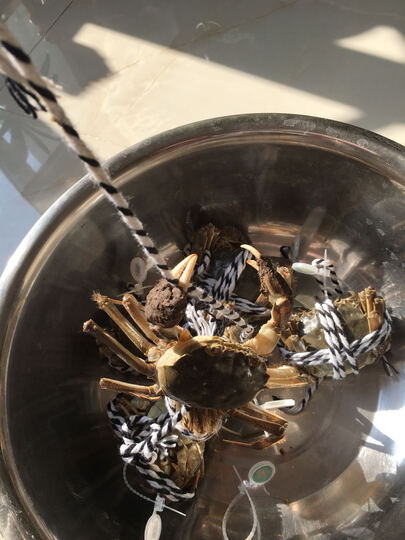 今锦上788型:京东自营,第二次购买了,全部是活