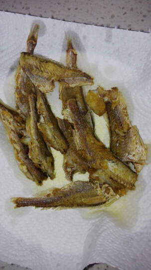 鲜动生活小银鱼:凑单的小黄鱼,虽然小点儿,但