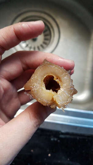 皇纯淡干海参:价格便宜,送货也快,泡发也有2倍