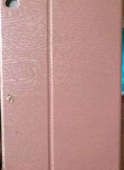 AppleiPad mini4:不知道说点什么好!就只要开