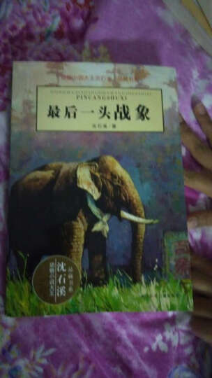 *后一头战象 动物小说大王沈石溪品藏书系 动物小说 中国儿童文学 晒单图