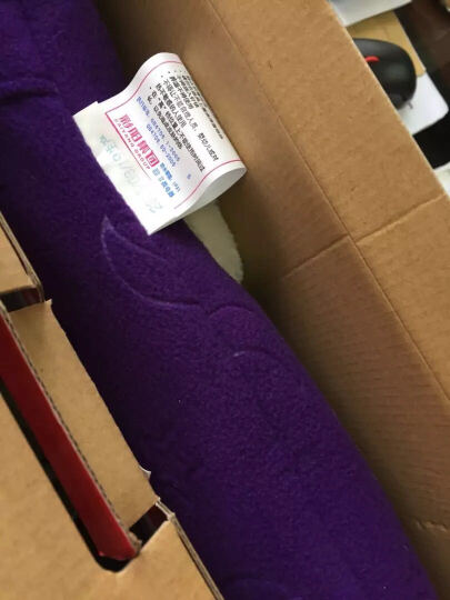 彩阳电热暖手宝加厚绒布可拆洗拉链插手套多功能调温型暖手暖脚宝 紫色 （37cm*37cm） 晒单图