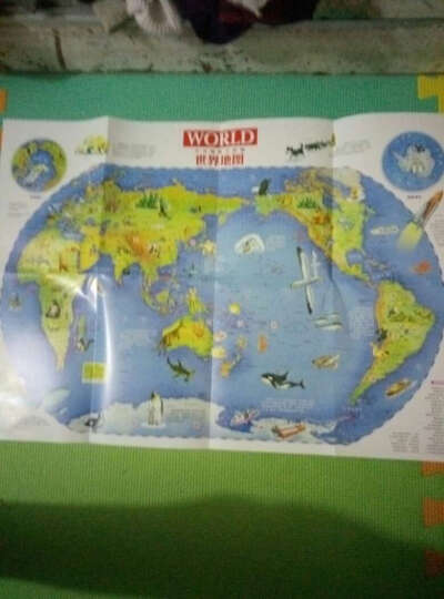 北斗童书·少儿地板拼图：世界地图（71拼片） 晒单图
