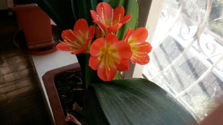 淘乐士创意魔术自粘发卷短发卷发棒美发工具梨