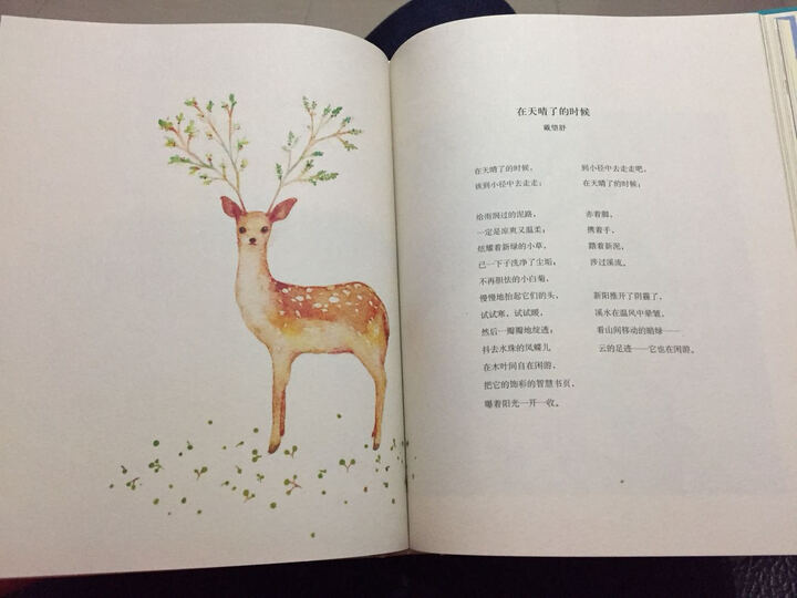 宝宝认知纸板书·形状:你好,你是谁? 晒单图