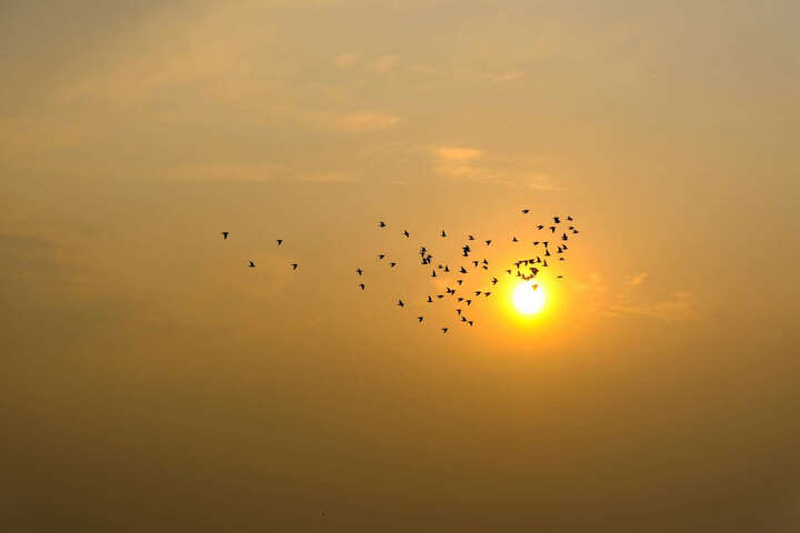 富士X-T20 (XC 16-50II):一开始上海无货,故让