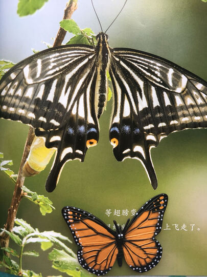 语言表达能力训练怎么样_语言表达能力训练多