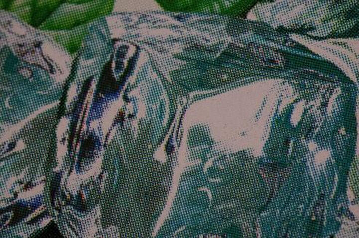 佳能微距镜头怎么样_佳能微距镜头多少钱_