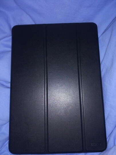 AppleiPad:京东自营的电子商品 是正品 发货速