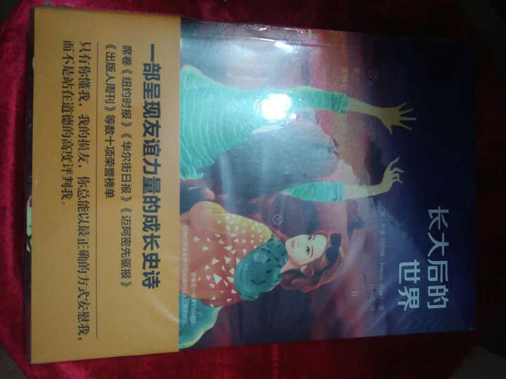 长大后的世界 晒单图