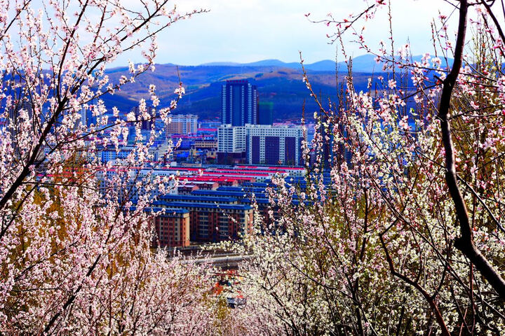 尼康D3400评价详情