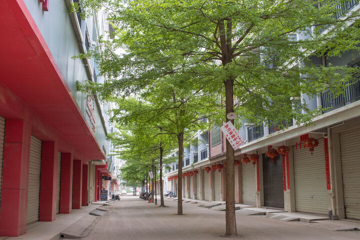 佳能35mm定焦镜头怎么样_佳能35mm定焦镜