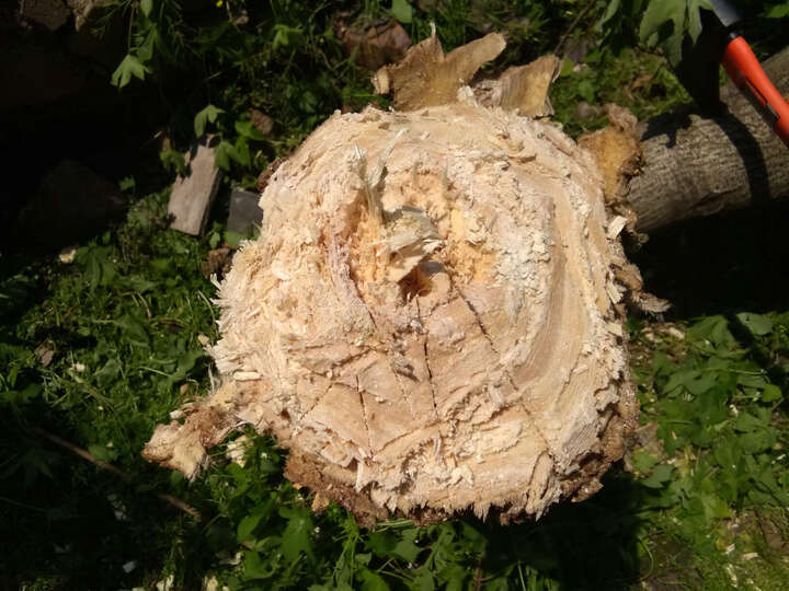 砍骨头刀怎么样_砍骨头刀多少钱_砍骨头刀价