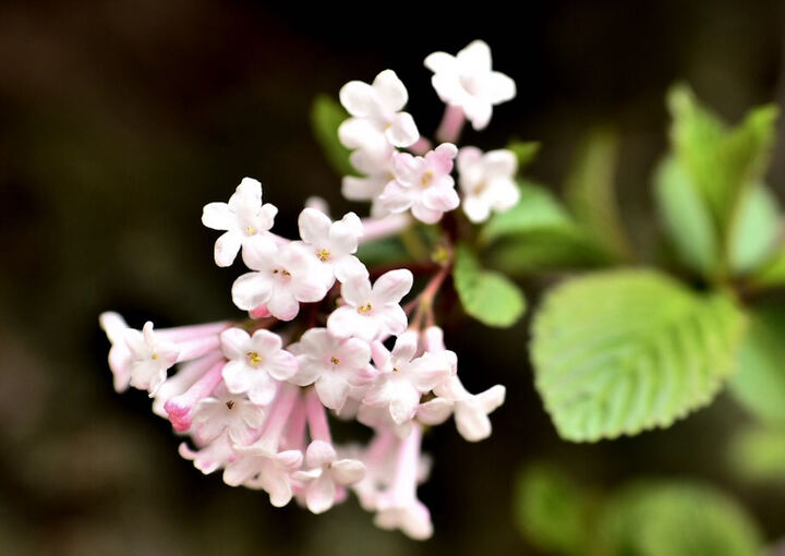 尼康 Nikon AF-S 尼克尔 35mm f/1.8G ED 镜头 晒单图