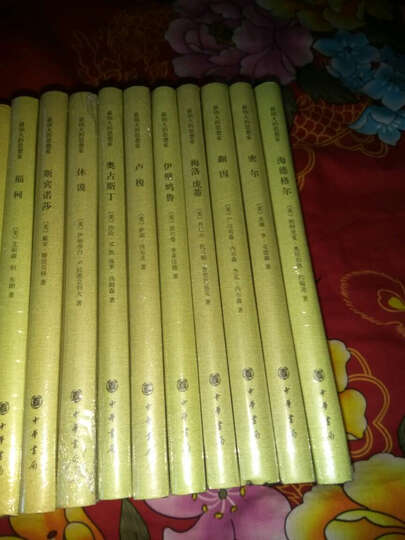 最伟大的思想家:尼采 晒单图