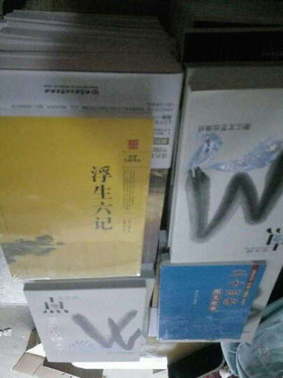 老牌政敌2 国会危机 晒单图