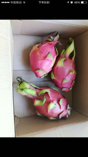 展卉越南红心火龙果小果3个装 单果300g:火龙