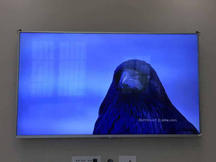 索尼KD-55X8000E:电视很好,画面完美 屏幕没