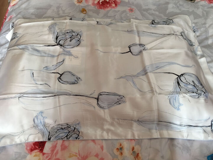 太湖雪 床品家纺 真丝靠枕靠垫 100%桑蚕丝绸面料 单个装 颜色随机 45*45cm 晒单图