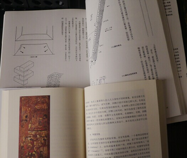 大腦、演化、人:是什麼關鍵,造就如此奇妙的人類? 晒单图