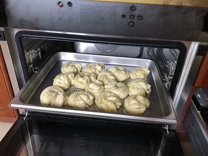 GOVOS德国嵌入式蒸烤箱一体机 大容量电蒸箱烤箱三合一 内嵌式家用多功能蒸箱S01A 晒单图