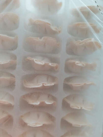 三全 私厨素水饺 黄瓜白玉菇口味 600g （54只） 晒单图