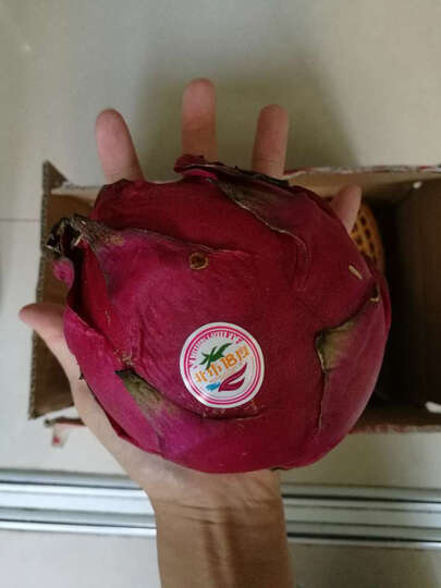 康乐欣火龙果怎么样_康乐欣火龙果多少钱_康