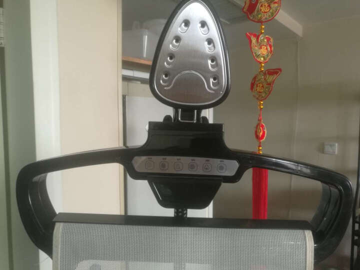 华光（HG）挂烫机 QY65-HDV 十档调节双杆蒸汽挂烫机（粉色） 晒单图