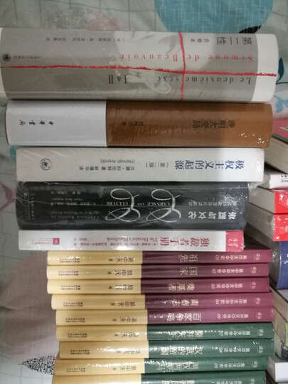 逻辑学十五讲怎么样_逻辑学十五讲多少钱_逻