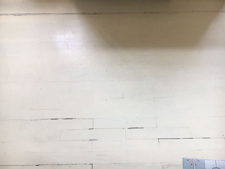 飞利浦吸尘器FC7020家用手持吸尘器 蒸汽拖把地板清洁机洗地机 除螨吸尘干湿两用吸尘器 FC7020 晒单图