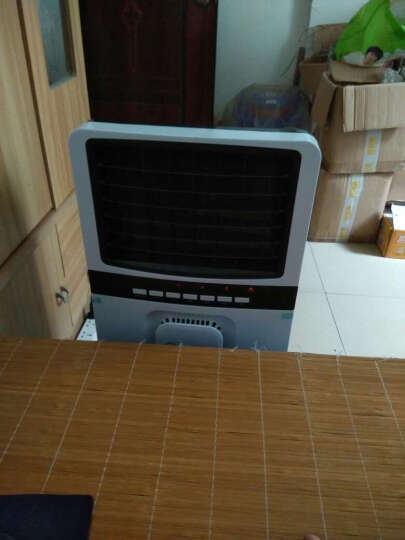 赛亿（Shinee）空调扇 制冷电风扇 家用移动非冷暖两用可定时空气净化加湿单制冷风机LG-04E 晒单图