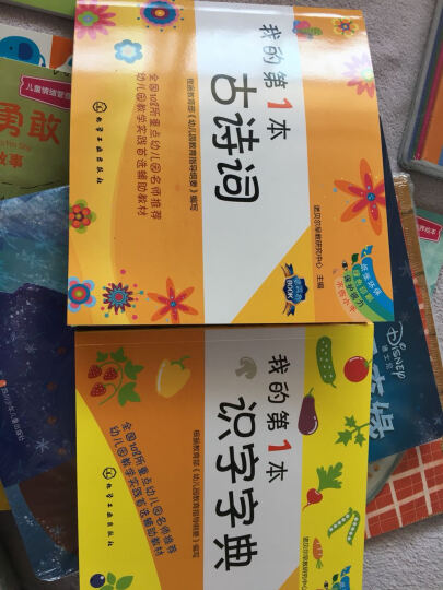 我的第一本英语儿歌书怎么样_我的第一本英语