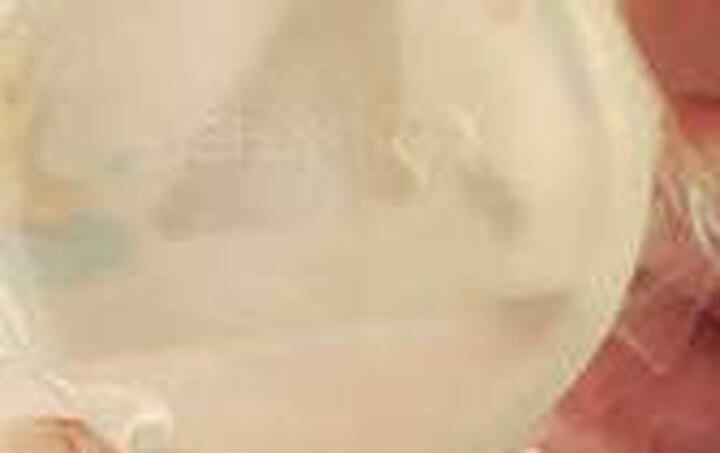 宝宝金水婴儿花露水驱蚊花露水痱子水驱蚊喷雾驱蚊液止痒花露水野菊花花露水190ml 晒单图