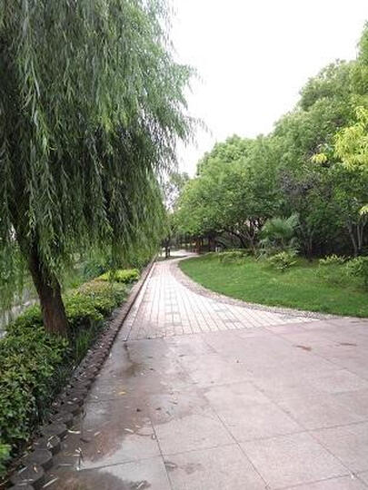 锤子坚果Pro:外观惊艳,解锁快捷,超级灵敏,系统